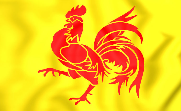 Flag of Wallonia Region, Belgium.