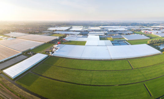Aerial view of greenhouse in fields Netherlands